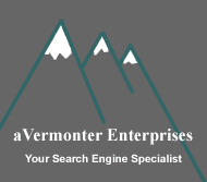 Search engine specialist